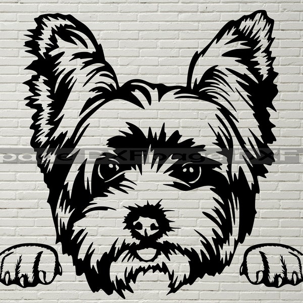 Yorkshire Terrier svg, Peeking yorkie svg, yorkshire svg, vector svg for cricut, clipart, shirt design vinyl, Dog Cut file, laser cnc file