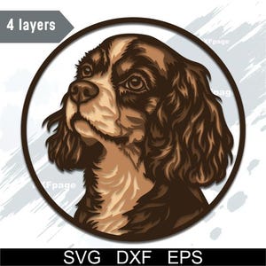 May include: A digital illustration of a Cavalier King Charles Spaniel dog's head, set within a circular frame. The dog has brown and white fur, with detailed shading. The image includes the text "4 layers" and "SVG DXF EPS".
