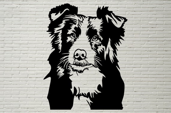 Download Border Collie Svg Dog Svg Border Collie Art Vector Graphic Etsy