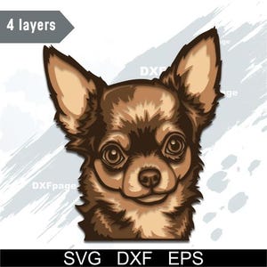 Könnte beinhalten: Detaillierte Illustration eines Chihuahua-Hundegesichts mit Braun- und Beigetönen. Das Bild enthält den Text "4 layers" in einem grauen Feld und "SVG DXF EPS" unten. Die Augen des Hundes sind groß und ausdrucksstark.