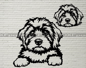 Cavapoo SVG, Silhouette Dxf, SVG for Cricut, Cavapoo Dog
