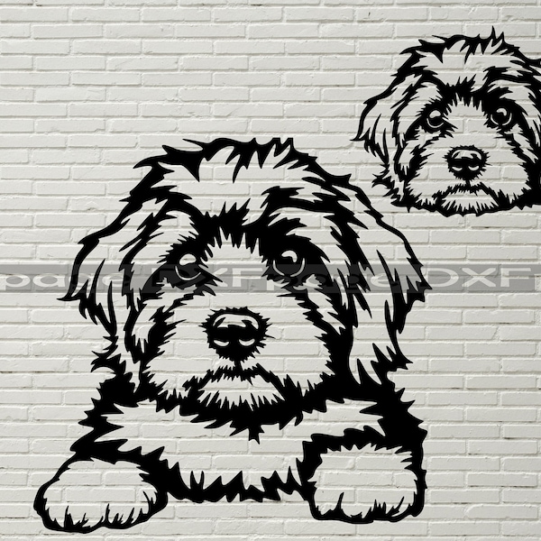 Cavapoo SVG, Silhouette dxf, SVG per Cricut, Cavapoo dog clipart File di taglio, ritratto vettoriale in legno, file dxf di design camicia in vinile per cnc laser