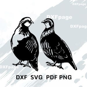 Op de afbeelding: Een rustiek houten bord met de tekst "Welcome to our home" in witte letters. Het bord heeft een verweerde afwerking en een eenvoudig, uitnodigend ontwerp.