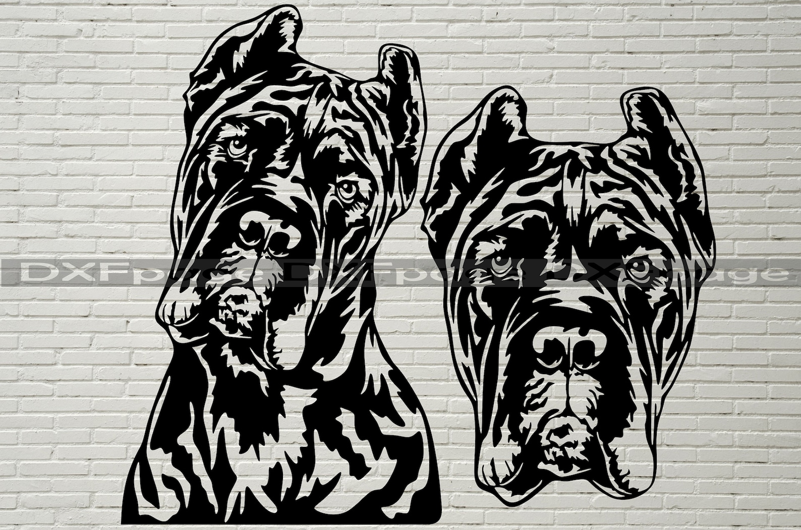 Cane Corso SVG Silhouettes dxf Dog Peeking SVG for Cricut Etsy
