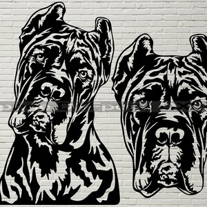 Cane Corso SVG, Silhouettes dxf, Dog Peeking SVG for Cricut, Cane Corso clipart, png Cut file, iron on, vector, vinyl shirt design, plasma