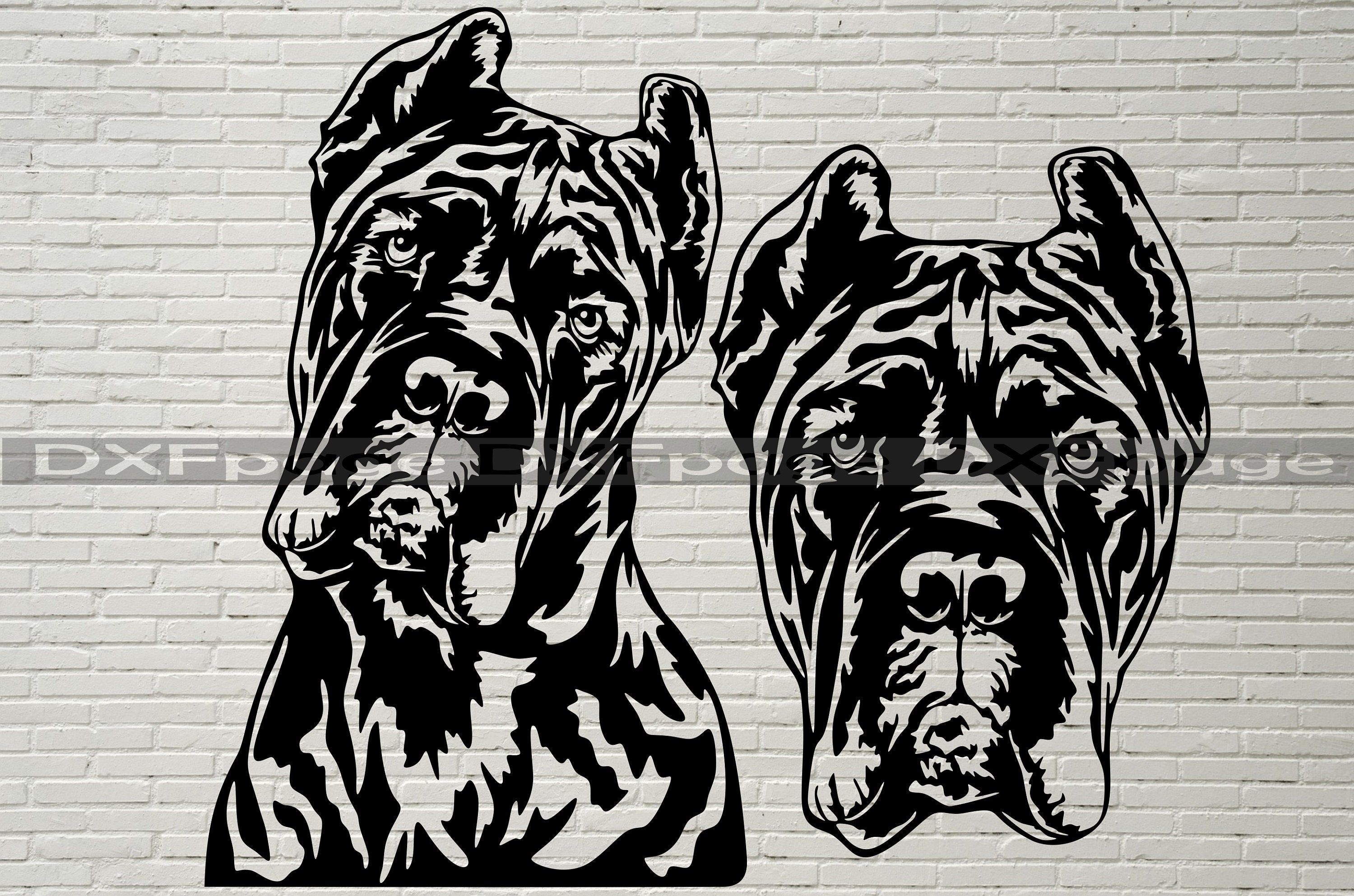Cane Corso SVG, Silhouettes Dxf, Dog Peeking SVG For Cricut, Cane Corso