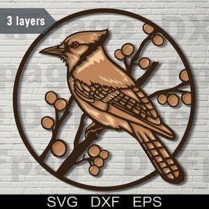 Blauhäher Multilayer SVG, DXF Laserschnitt, 3D Schichtholz, Scherenschnitt, Cnc Fräser Schnittdatei, Cricut, Holzkunst, Tier Schattenbox, Vogel