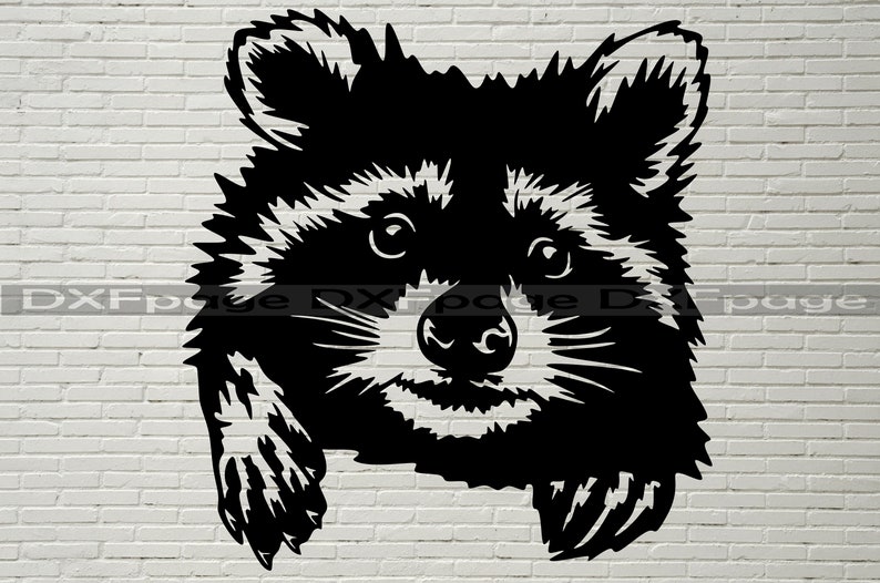 Download Raccoon Svg Cut File funny Peeking svg Silhouettes dxf ...