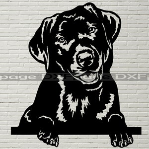 Black Labrador SVG, Silhouettes dxf, Dog Peeking SVG for Cricut, Labrador retriever clipart Cut file, iron on, vector png vinyl shirt design