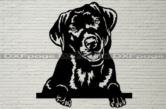 Black Labrador SVG, Silhouettes dxf, Dog Peeking SVG for Cricut, Labrador retriever clipart Cut file, iron on, vector png vinyl shirt design