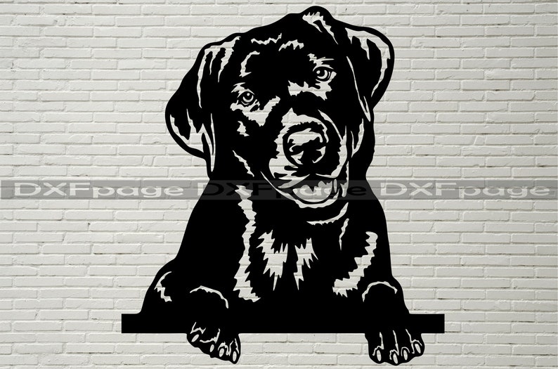 May include: Black and white silhouette of a Labrador Retriever dog peeking over a surface. The dog has a friendly expression and is looking directly at the viewer.