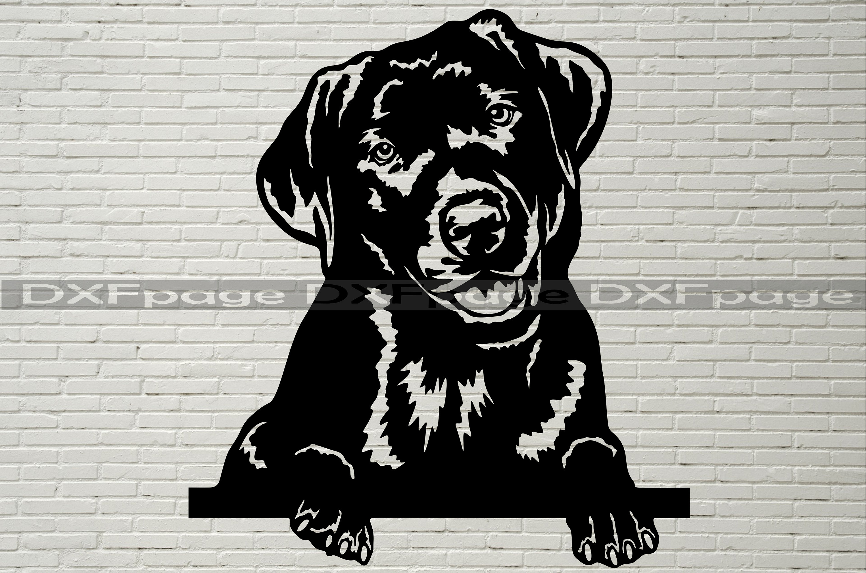 Black Labrador SVG, Silhouettes Dxf, Dog Peeking SVG For Cricut