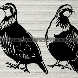Partridge SVG, clipart de caza, archivos dxf para plasma, corte láser, dxf para cnc, Vector Wild Animals, decoración de pared, archivo svg para Cricut, png pdf