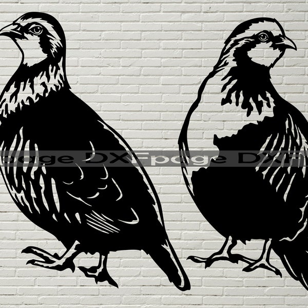 Partridge SVG, hunting clipart, dxf files for plasma, laser cut, dxf for cnc, Vector Wild Animals, wall decor, svg file for Cricut, png pdf