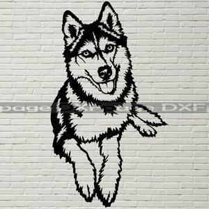 Husky SVG, Silhouettes dxf, Siberian Husky SVG for Cricut, dog clipart Cut file, vector portrait, vinyl shirt design, dxf file for laser cnc