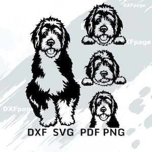 May include: Black and white dog silhouette art in multiple poses. The image includes a full body view of the dog sitting, and three head and chest views. The image also includes the text "DXF SVG PDF PNG".