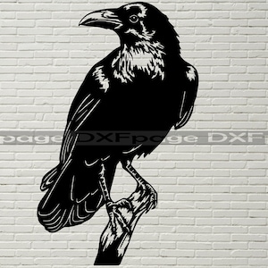 Raven svg, Raven Silhouette dxf, SVG for Cricut, Raven clipart, laser cut file, vinyl shirt design, dxf file for plasma, Crow svg, bird cnc