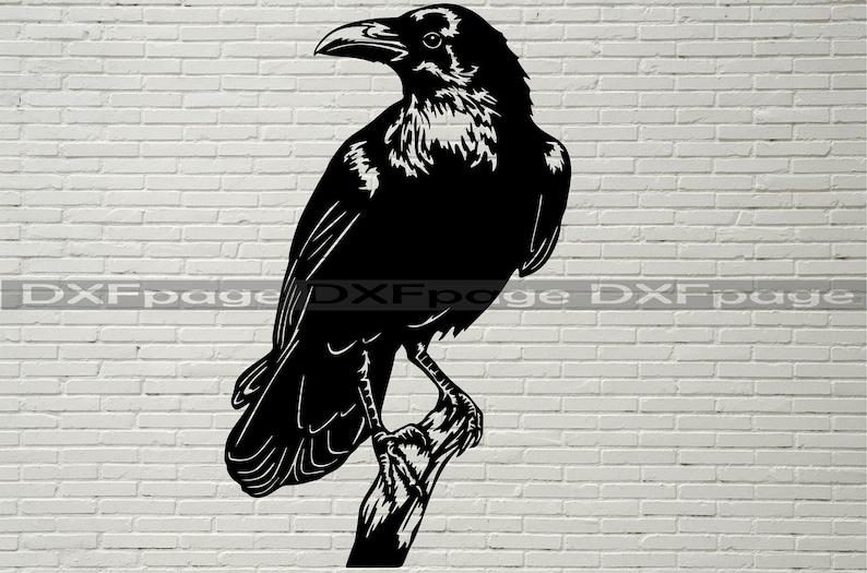 Raven svg, Raven Silhouette dxf, SVG for Cricut, Raven clipart, laser cut file, vinyl shirt design, dxf file for plasma, Crow svg, bird cnc image 1