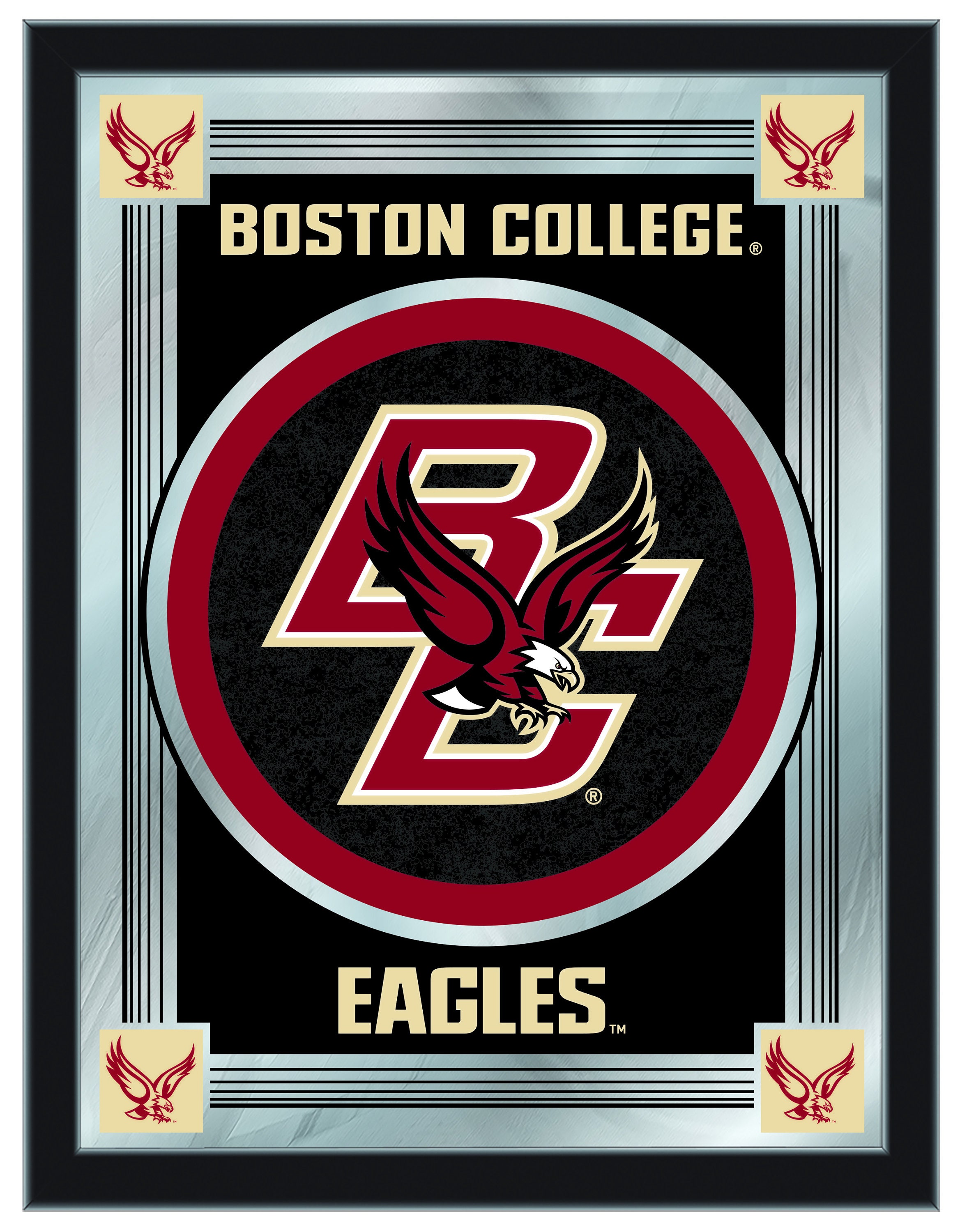 NCAA Boston College Eagles 16 in. Premium Pet Carrier 