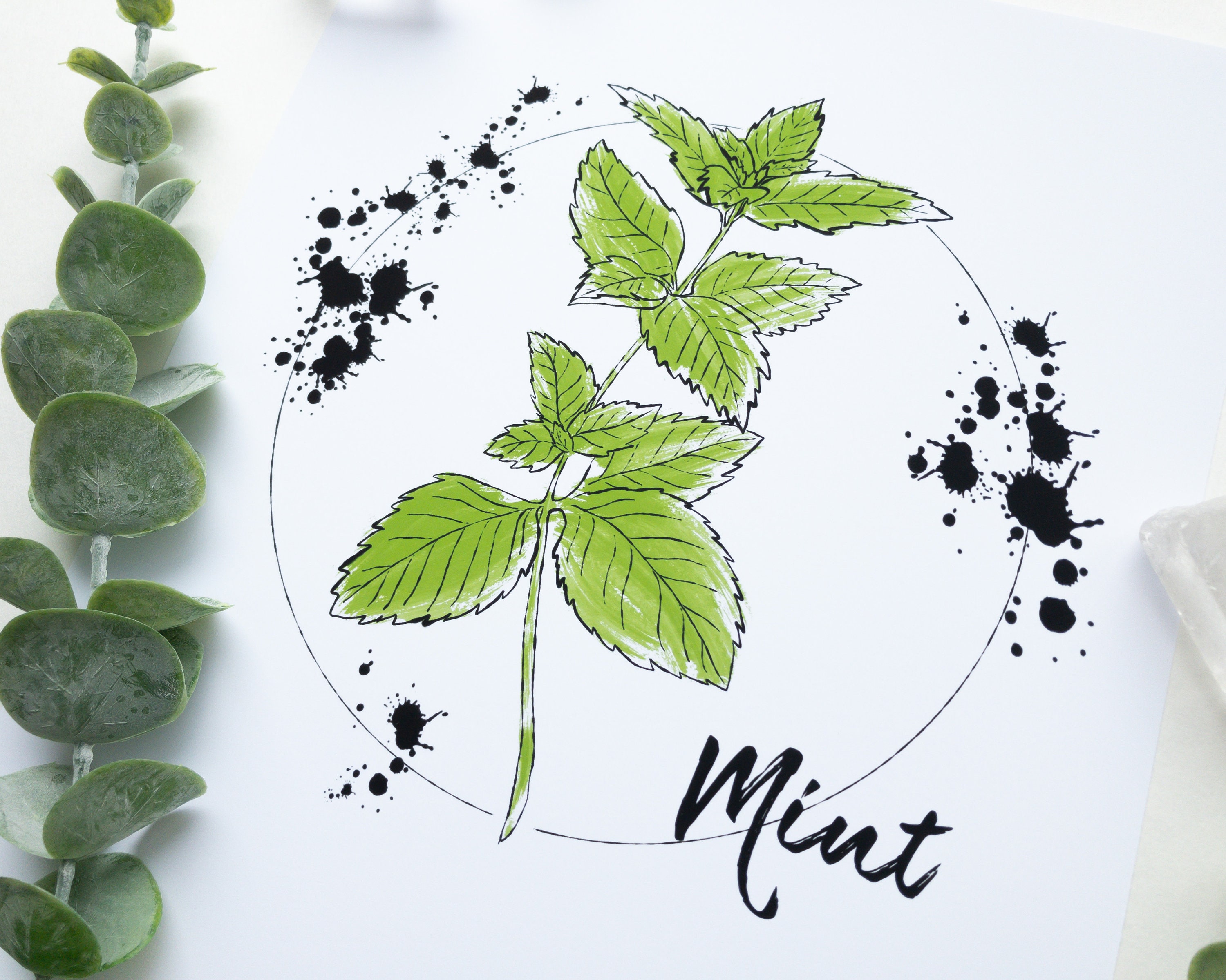 Mint herb Art Print Mint Illustration Botanical Artwork Etsy
