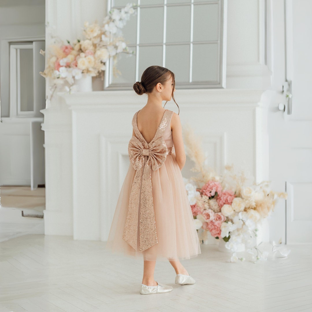 Little Girls Rose Gold Metallic Flutter Sleeve Flower Girl Dress 2-6 main image 1