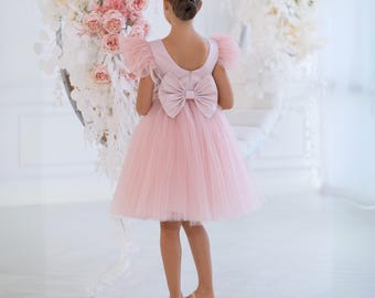 May include: A light pink tulle dress with a large bow on the back. The dress has feathered sleeves and a knee-length skirt. The girl is wearing matching pink shoes. The background features a floral arch with pink and white flowers.