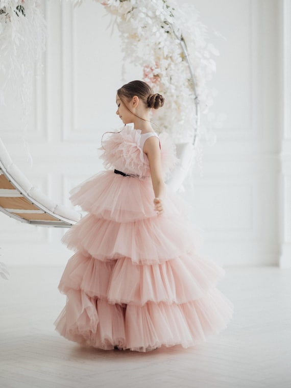 short light pink quince dresses Exquisite Beading Quinceanera Dresses V-neck Short Sleeves Ball Gown