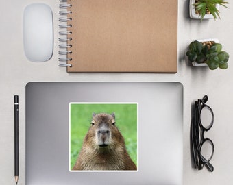 Serious Capybara Sticker Meme Animal Decal Vinyl Cute Durable Easy To Use US