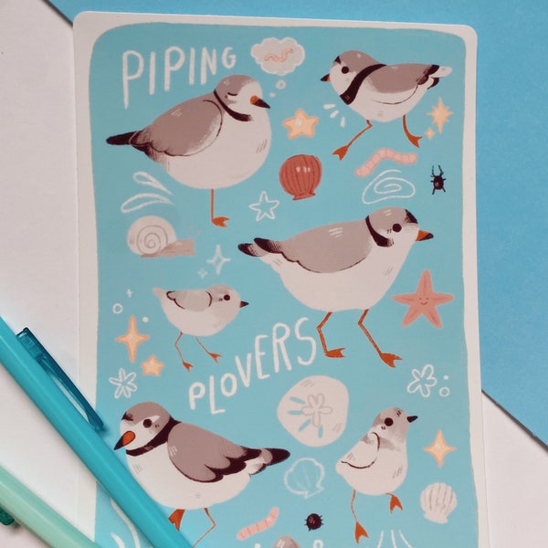 Piping Plover Sandpiper Bird Beach 5” x 7” Print