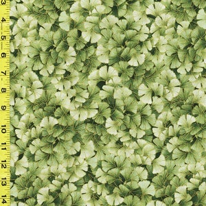 Kyoto Garden by Chong-a Hwang for Timeless Treasures CM1672 Ginko sold by the 1/2 yd.