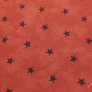 Attic Treasures by Brannok and Patek for Moda sold by the 1/2 yd.