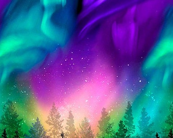 Aurora Panel Northern Lights by Timeless Treasures CD8456 Multi 24