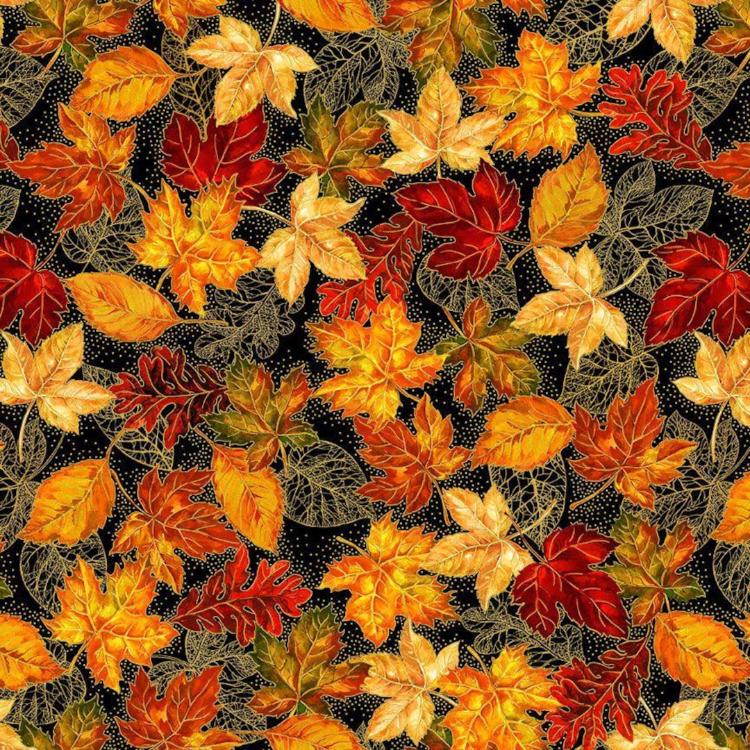 むぎゅうさ「Autumnal tints」 Red Leaf Free Autumn leaf isolated Image | Download at StockCake