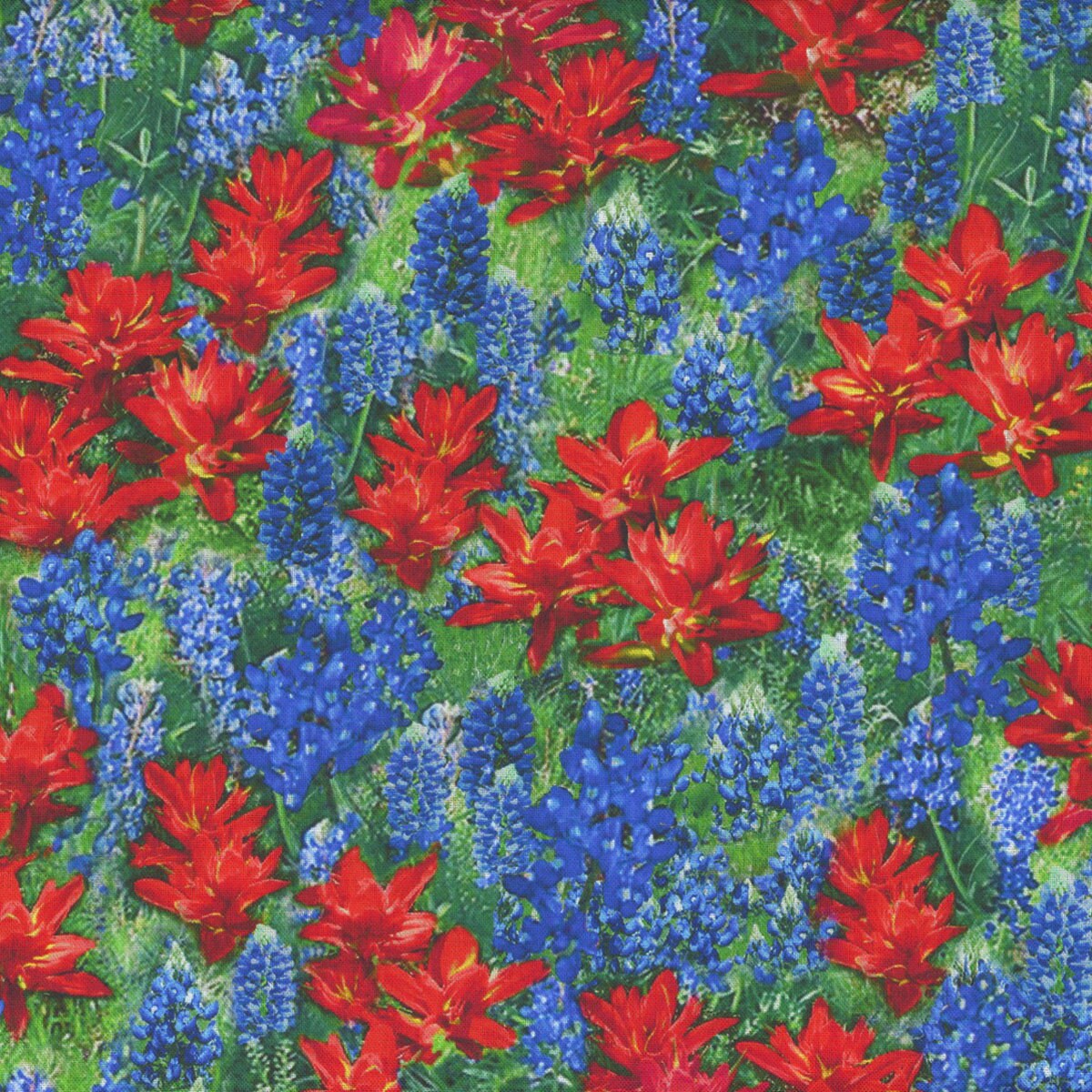 Fleur by Timeless Treasures CD2435 Multi Sold by the 1/2 Yd. - Etsy