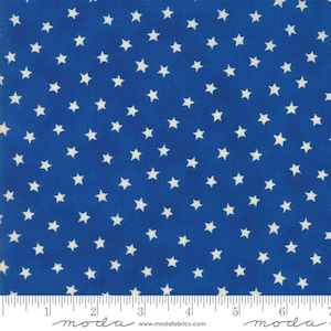 Star Spangled Batuque Print Nylon Swimwear Fabric - WJH1229A