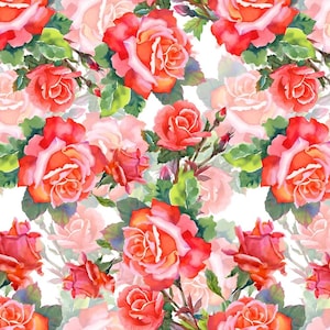 Può includere: Un dipinto ad acquerello di un motivo floreale con rose rosa e rosse con foglie verdi. Le rose sono disposte in un motivo ripetitivo su uno sfondo bianco.
