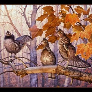 Out On A Limb-paneel van Elizabeth&#39;s Studio 4208-zwart 36&quot; x 44&quot;