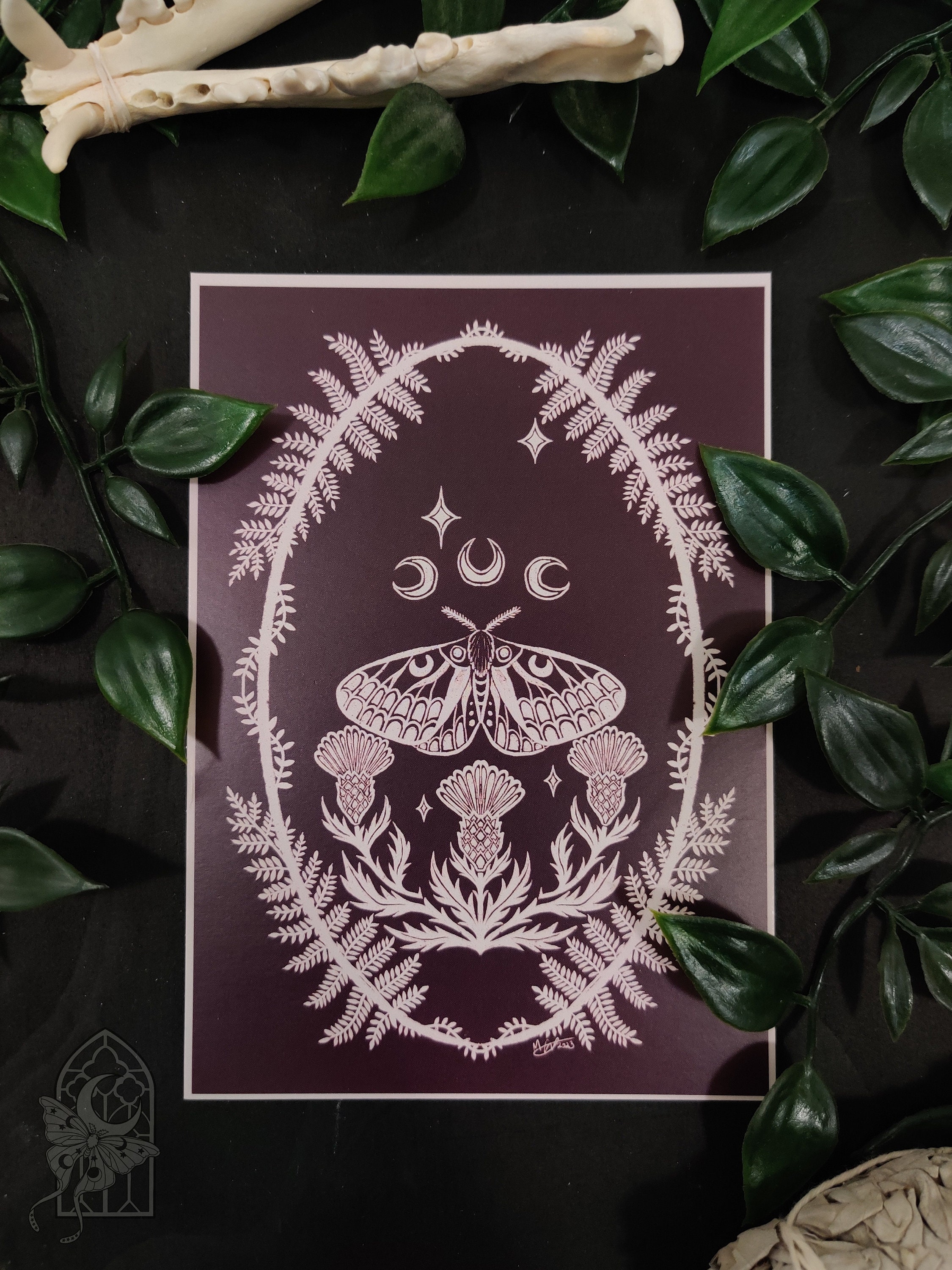 Burgundy Moth Thyme Herbal Linocut Print Style Postcard Print