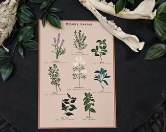 Witchy Herb Linocut Print Style Postcard Print