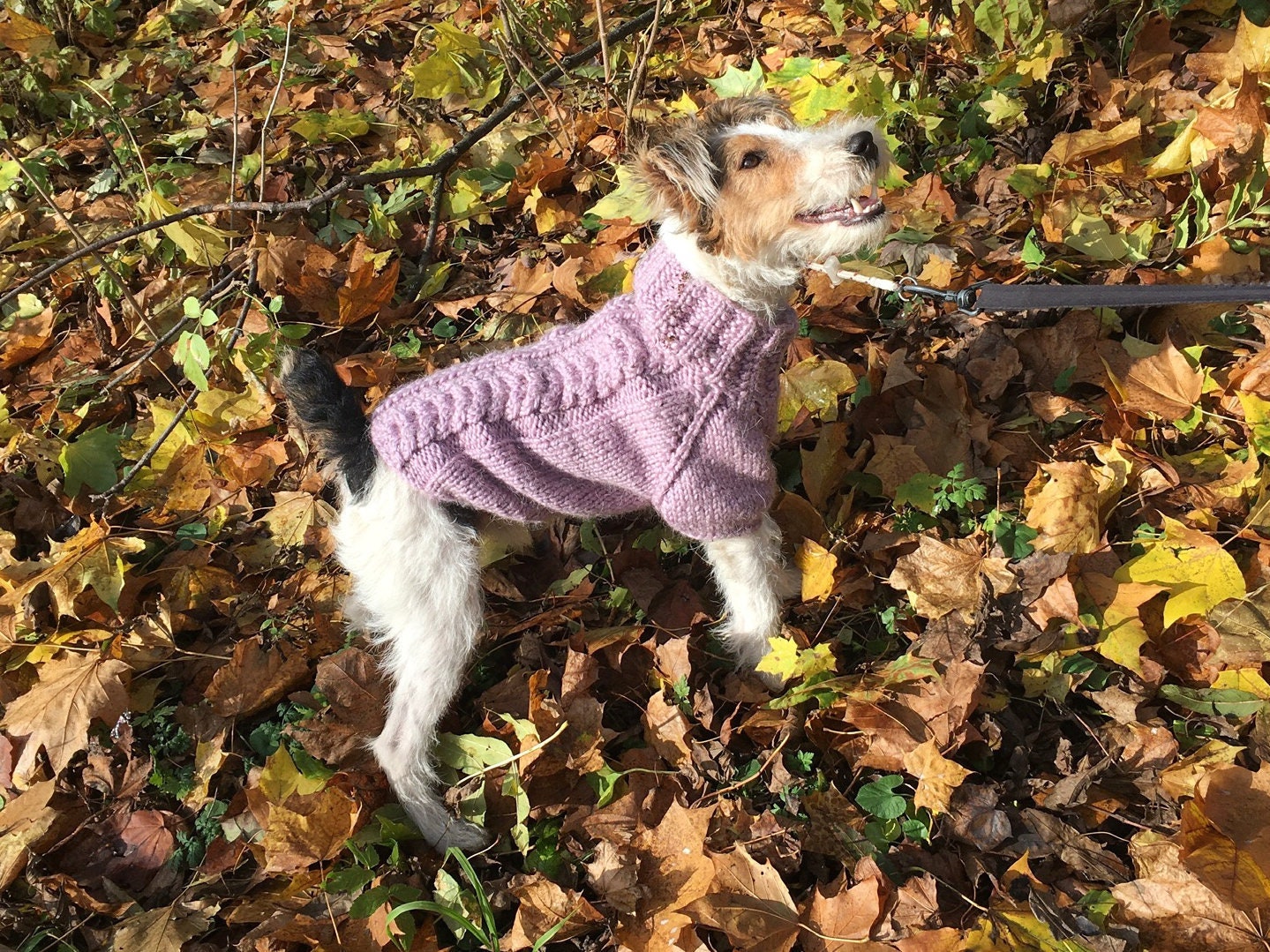 Cable knit dog clothes knitted dog sweater knit pet Etsy