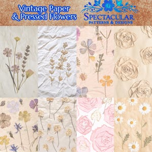 50 pagina's vintage papier voor briefpapier | Afdrukbaar antiek briefpapier met geperste bloemen Papyrus en verouderd perkamentontwerpen: 8,5 x 11 inch