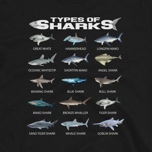 Types of Sharks Marine Biology T-Shirt, Types of Sharks Graphic Shirts, 15 Types Of Sharks T-Shirt Educational Colorful Ocean Tee