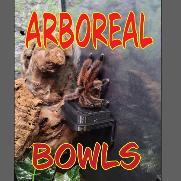 ARBOREAL BOWLS - The perfect bowl solution for any pet that spends it's time in the air! Gecko, tarantula, lizard, invert, frog amphibians