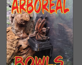 ARBOREAL BOWLS - The perfect bowl solution for any pet that spends it's time in the air! Gecko, tarantula, lizard, jumping spider,amphibians