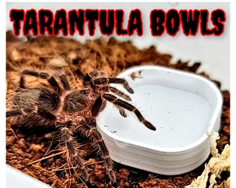 Tarantula Bowls - mini small animals jumping spider reptile mantis sling baby bowls dishes perfect for all types of small critters!