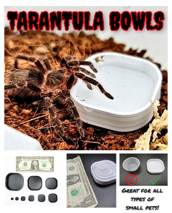 Tarantula Bowls Mini Small Animals Reptile Sling Baby Bowls Dishes Perfect  for All Types of Small Critters 