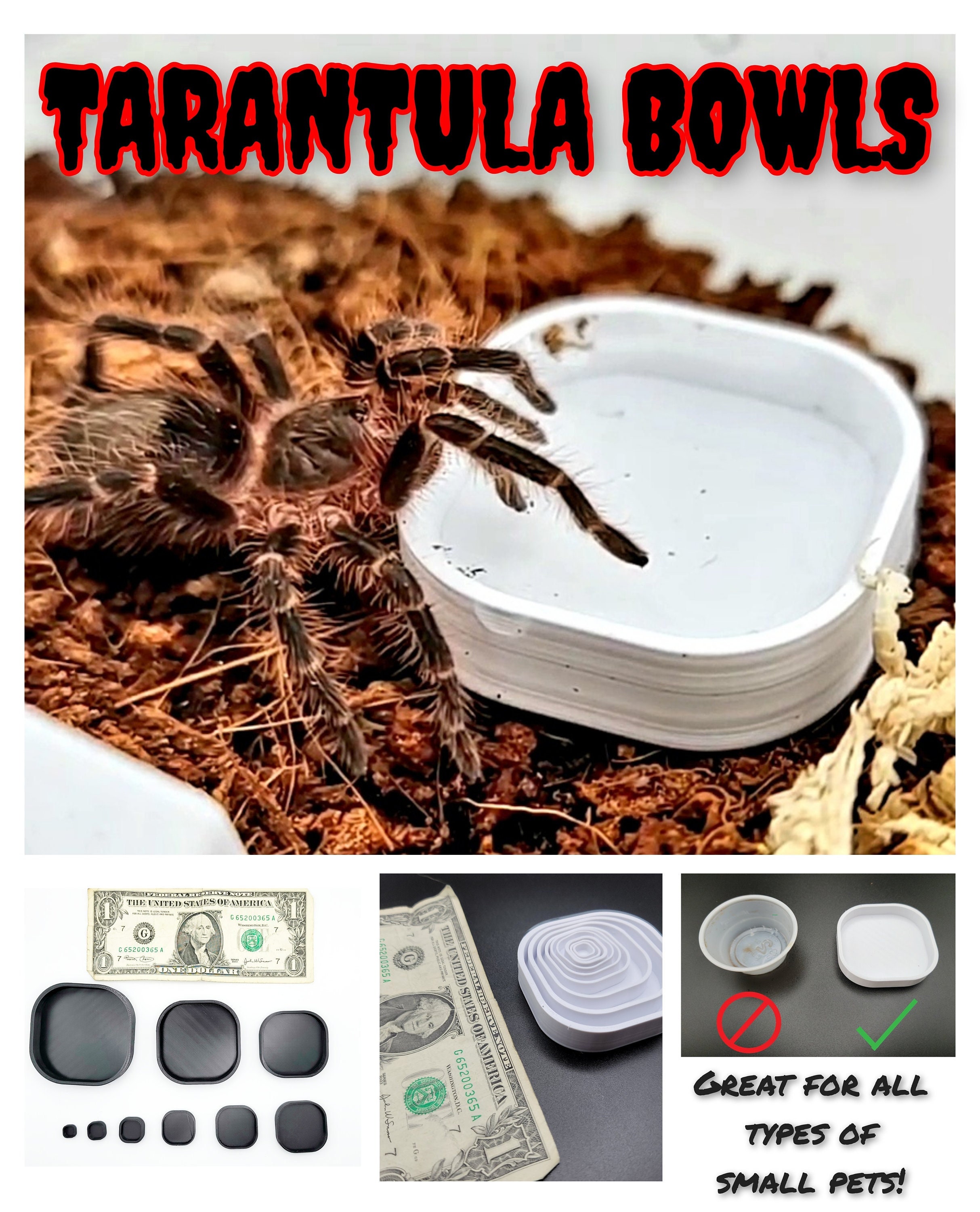 Made-to-order EXTRA SMALL Arboreal Tarantula/jumping Spider Sling Enclosure  Kit, Arboreal Tarantula Decor, Arboreal, Tarantula 
