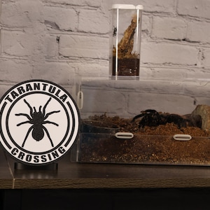 TARANTULA CROSSING 3d printed shelf wall decor sign