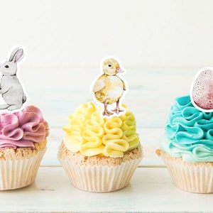 Easter Bunny Cupcake Toppers, Chick Cupcake Picks for Easter Party Decorations