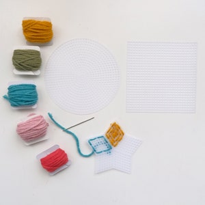 May include: A set of embroidery supplies including a white plastic canvas, yarn in various colors, and a needle.